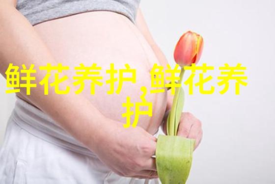 大黄菊