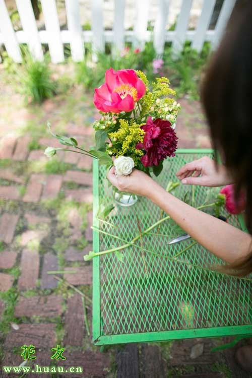 鲜花养护保鲜法_鲜花养护小知识_鲜花养护/