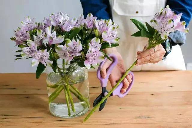 鲜花养护_鲜花养护小知识_剑兰花鲜花养护/