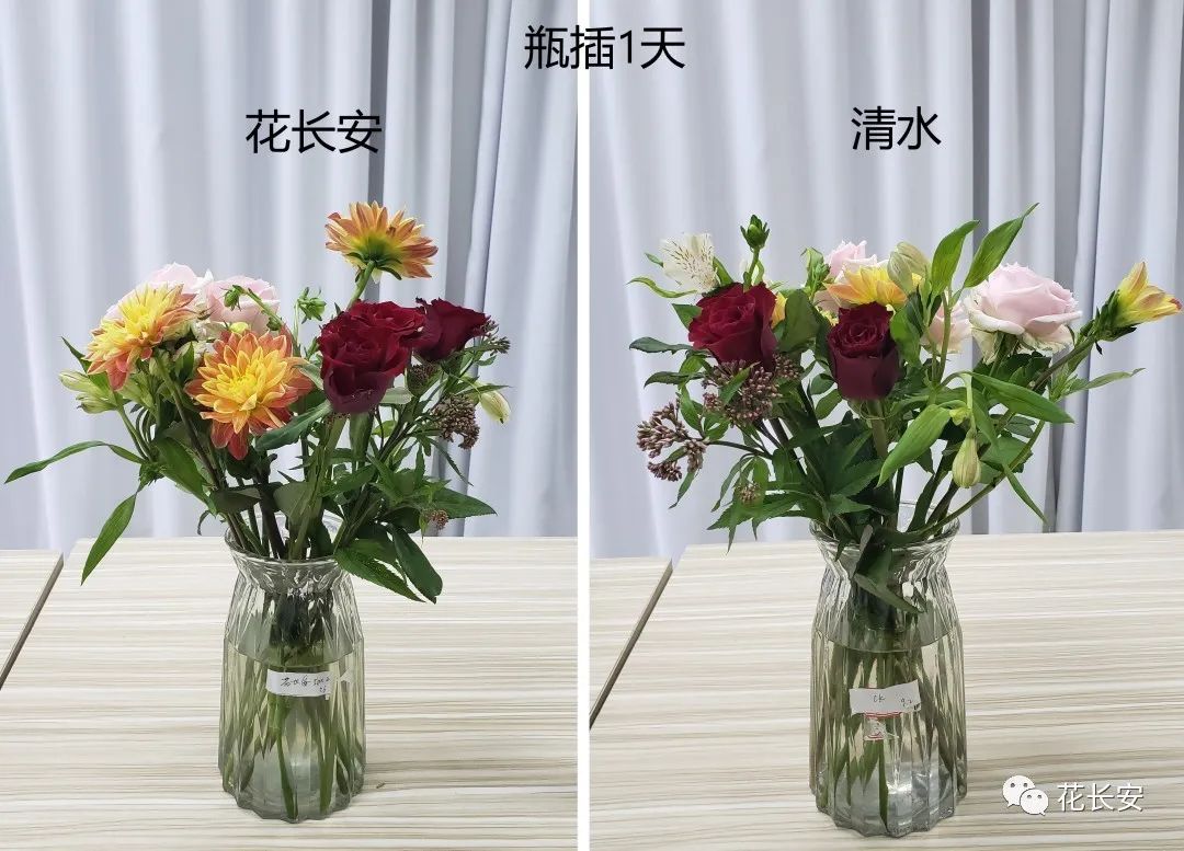 鲜花养护_鲜花养护小知识_鲜花养护步骤示意图/