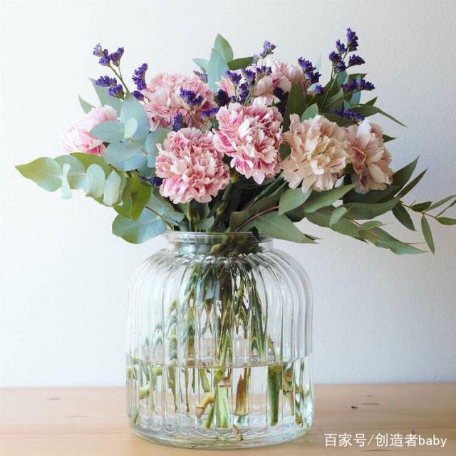 鲜花养护_剑兰花鲜花养护_鲜花养护保鲜法/