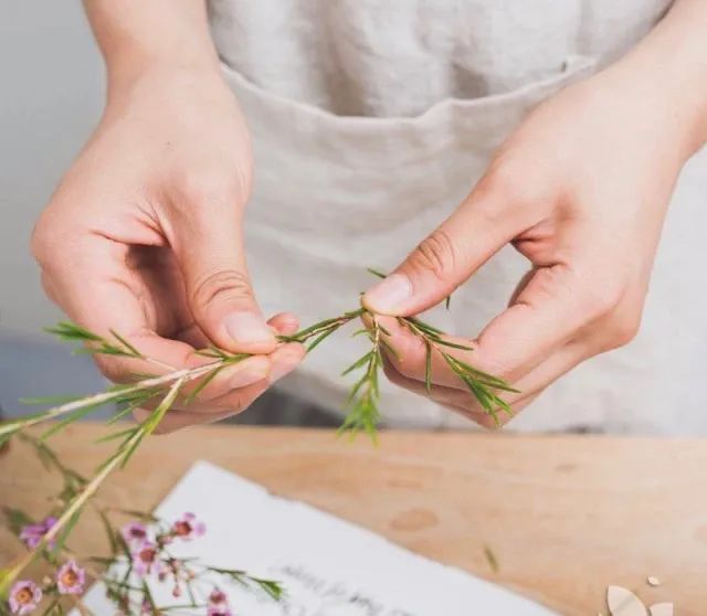 鲜花养护_鲜花养护说明_睡莲鲜花养护/