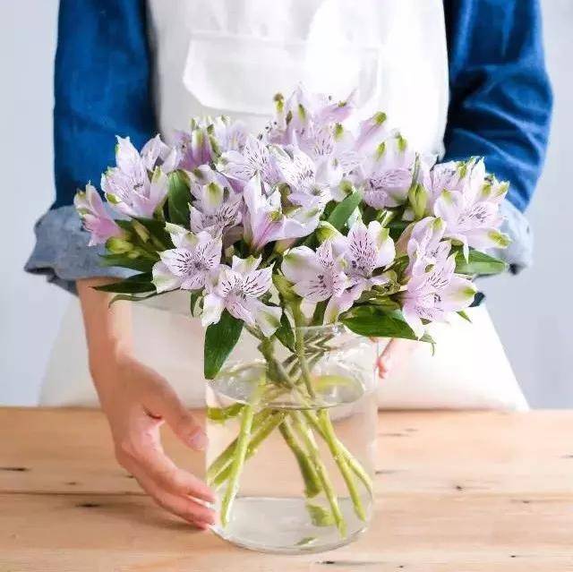 鲜花养护_鲜花养护小知识_剑兰花鲜花养护/