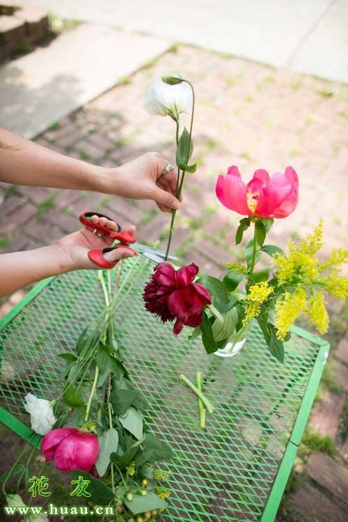 鲜花养护小知识_鲜花养护保鲜法_鲜花养护/