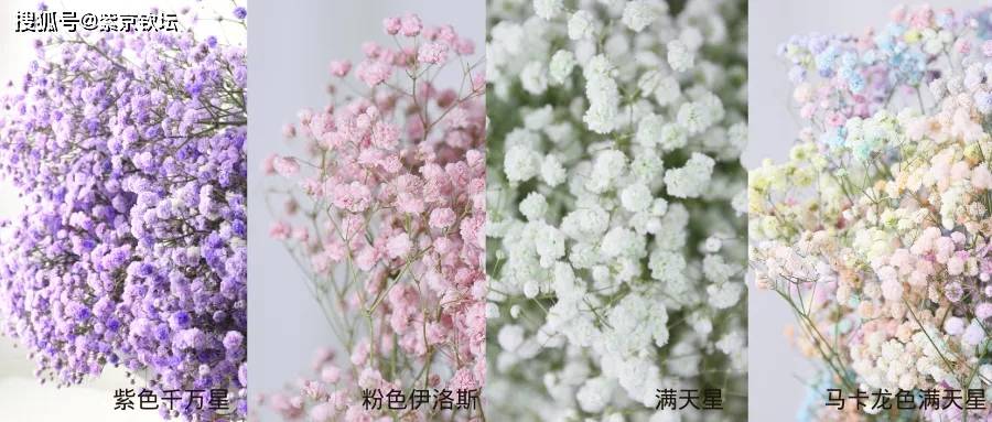 节日送花是不是最敷衍的行为_节日送花说说_节日送花的意义/