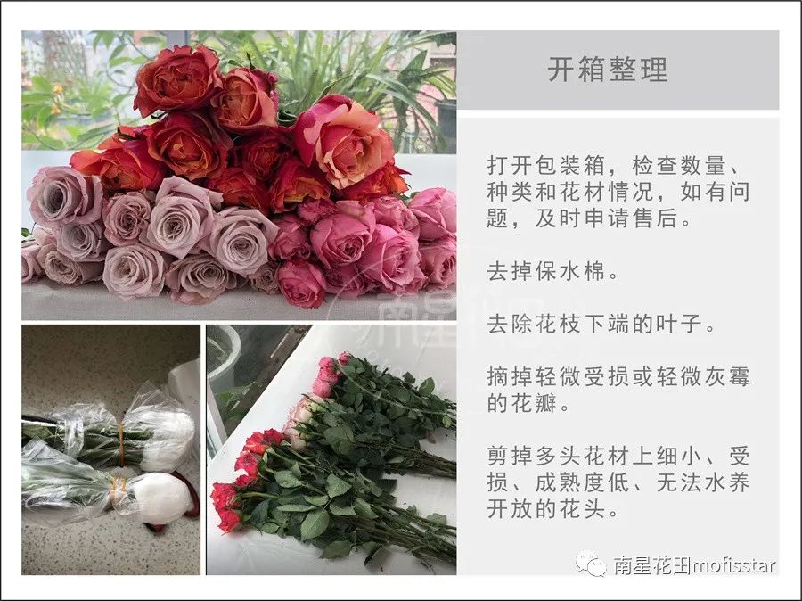 鲜花养护_鲜花养护步骤示意图_鲜花养护保鲜法/