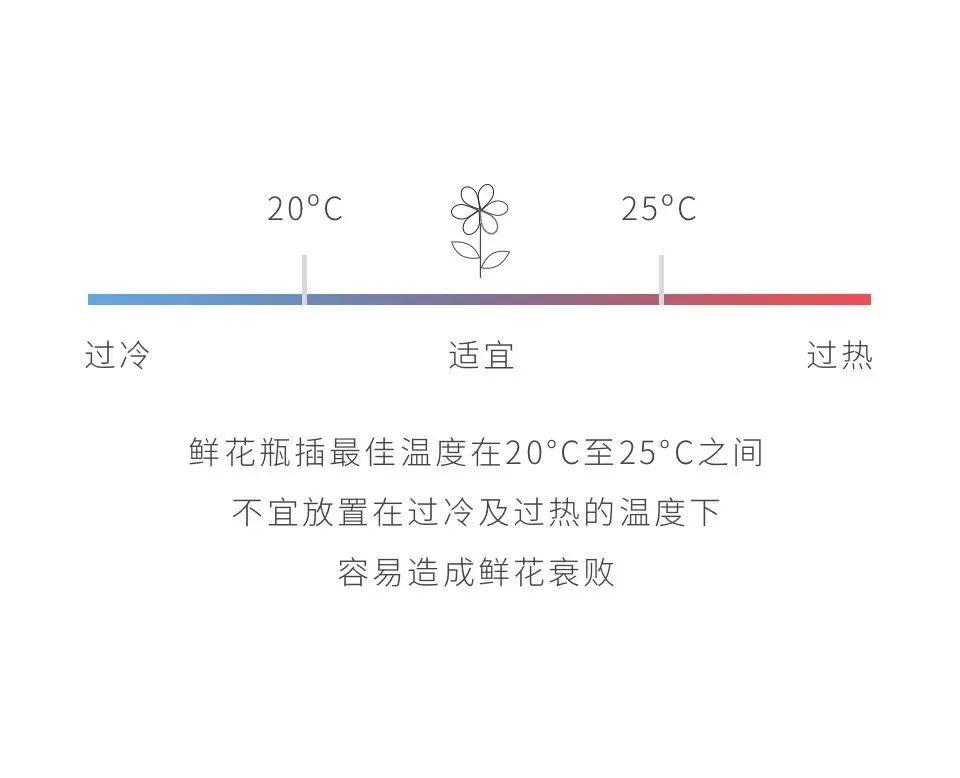 鲜花养护_鲜花养护说明_睡莲鲜花养护/