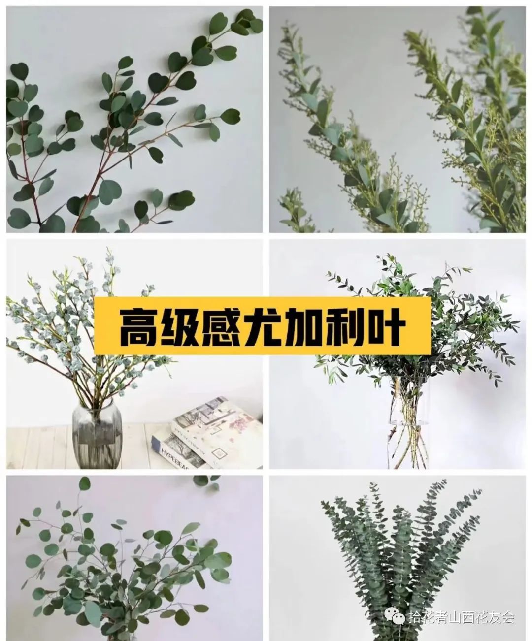 鲜花养护小知识_鲜花养护步骤示意图_鲜花养护