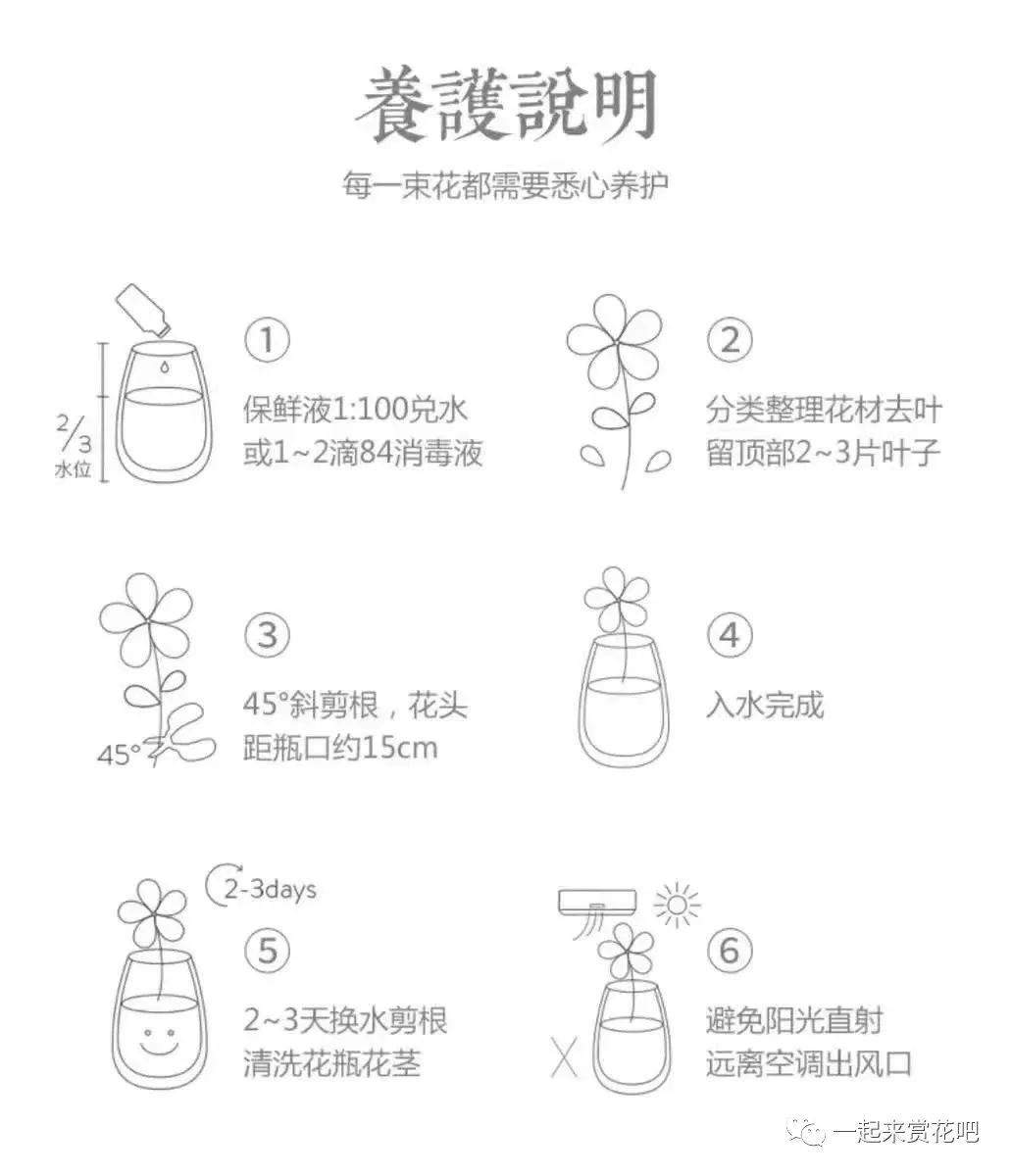 康乃馨鲜花养护_鲜花养护步骤示意图_鲜花养护/