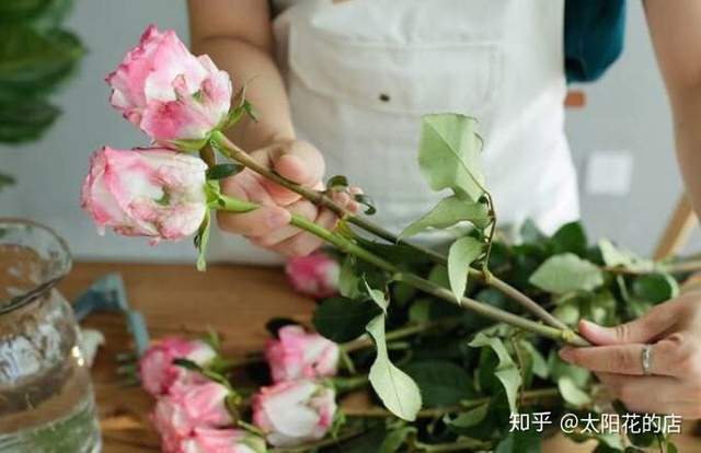 鲜花养护保鲜法_康乃馨鲜花养护_鲜花养护/