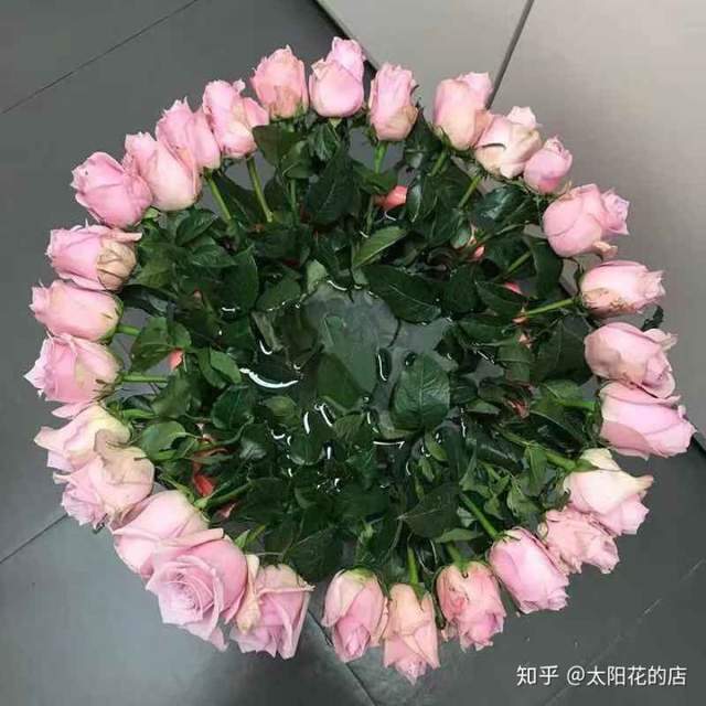 鲜花养护_康乃馨鲜花养护_鲜花养护保鲜法/