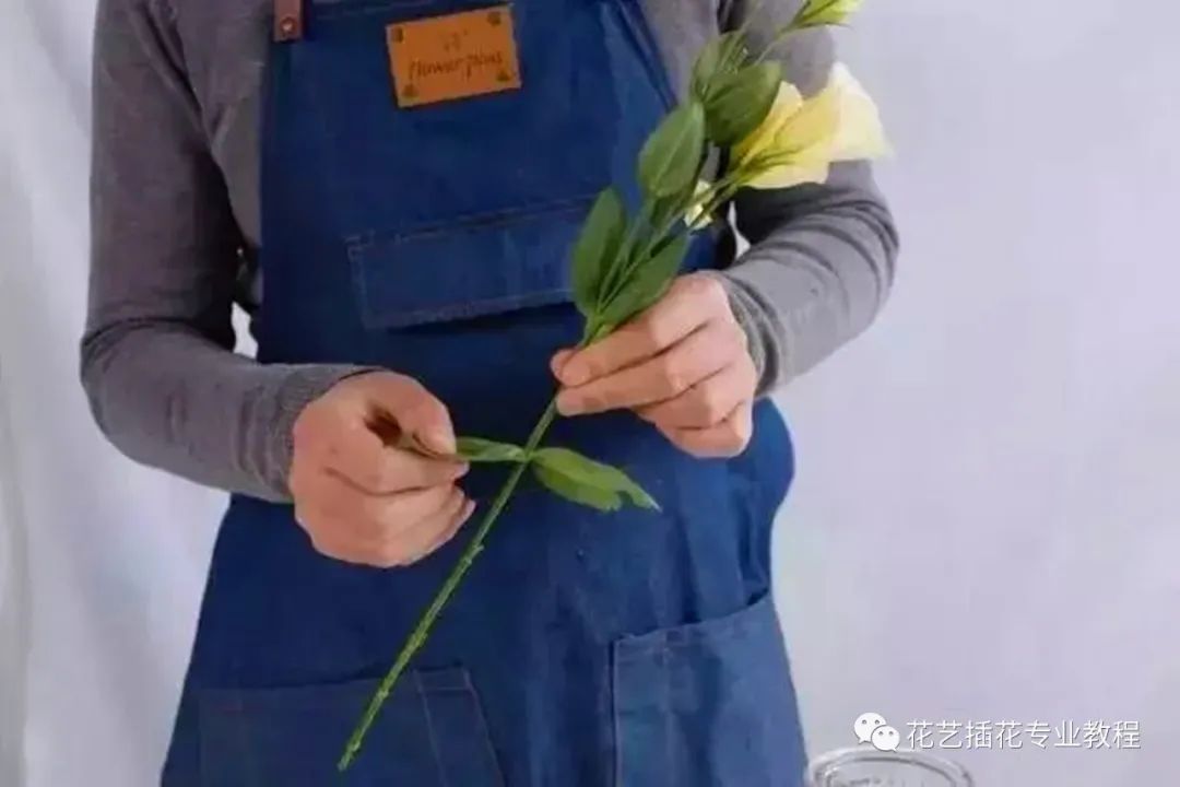 鲜花养护_鲜花养护保鲜法_玫瑰鲜花养护