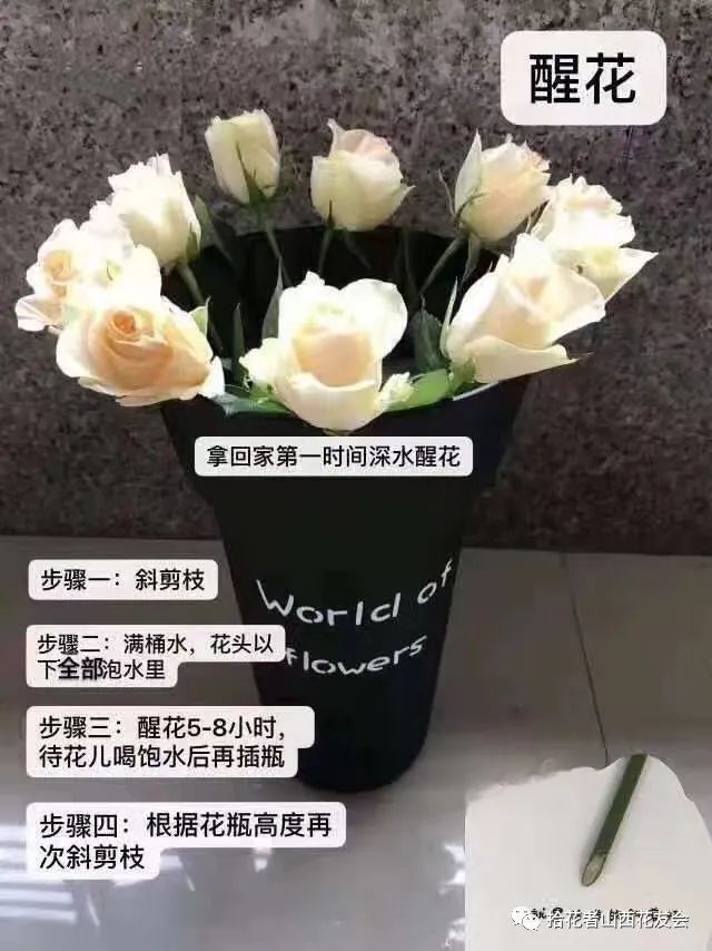 鲜花养护_鲜花养护步骤示意图_鲜花养护方法