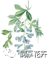 鲜花养护方法_鲜花养护小知识_鲜花养护