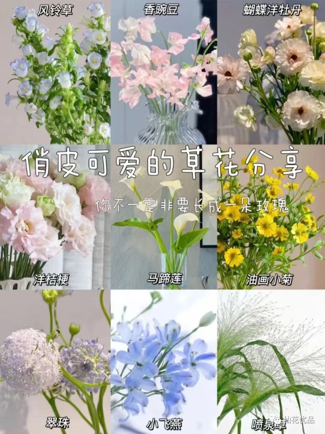 鲜花养护_鲜花养护保鲜法_鲜花养护方法