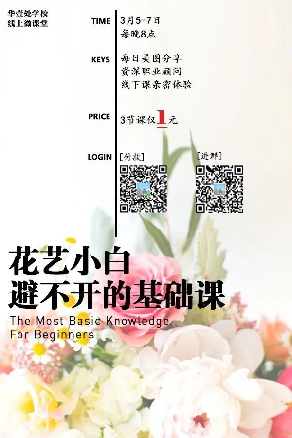 花语小众的花_小众但花语特别的花_小众花的名字