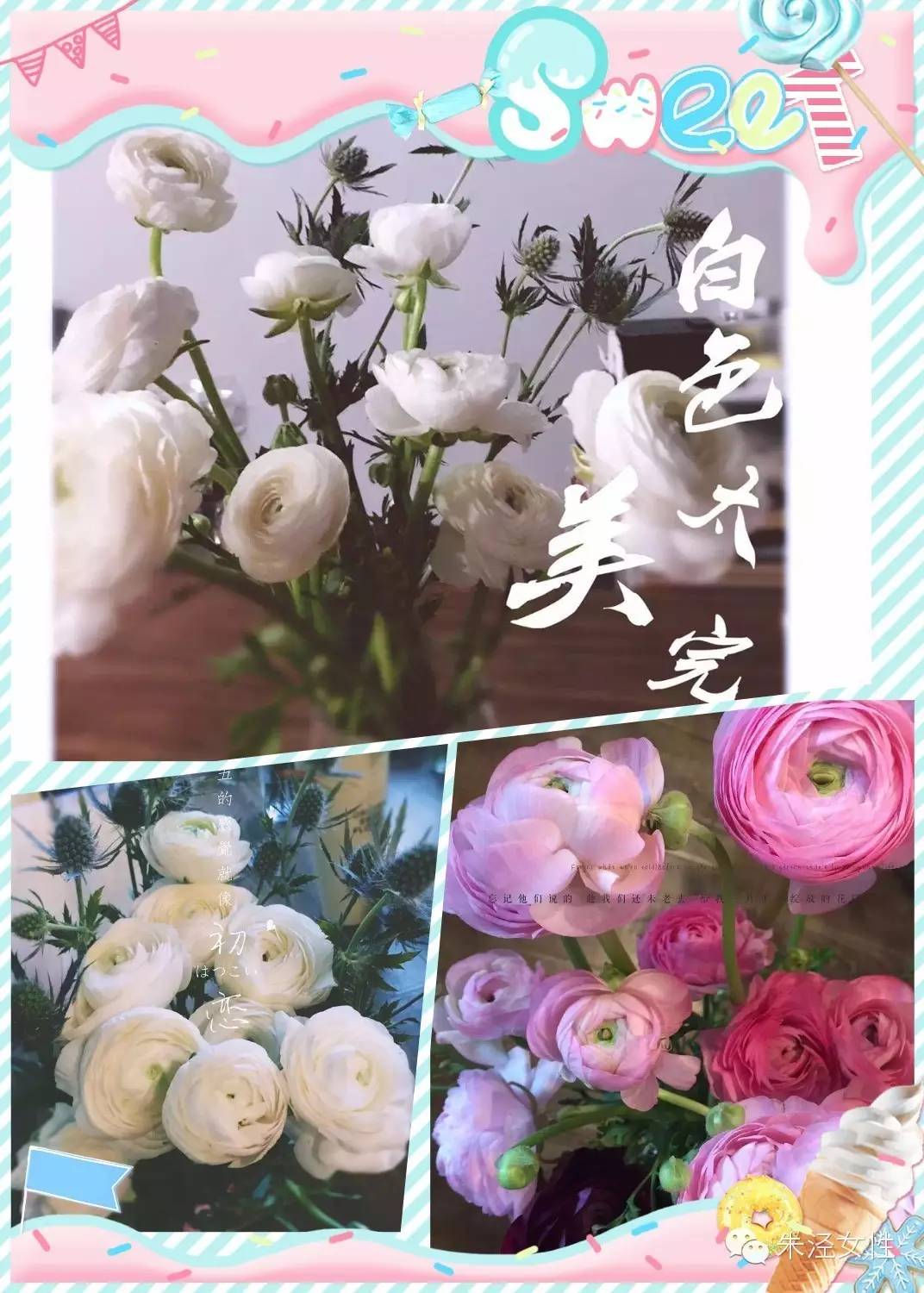 花语故事_花语故事书_花语故事大全