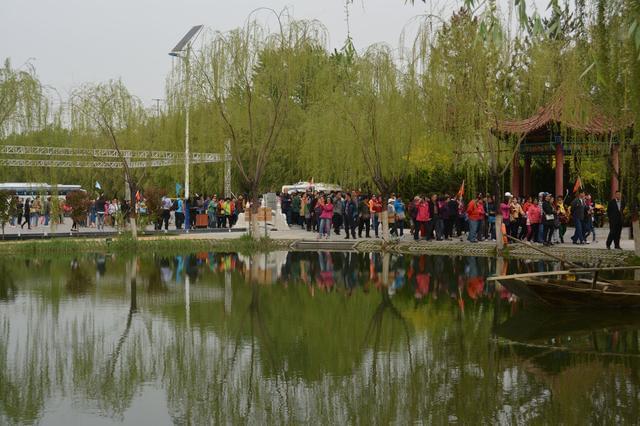 最美最美的花图片_最美花朵图片大全_中国最美的花朵图片