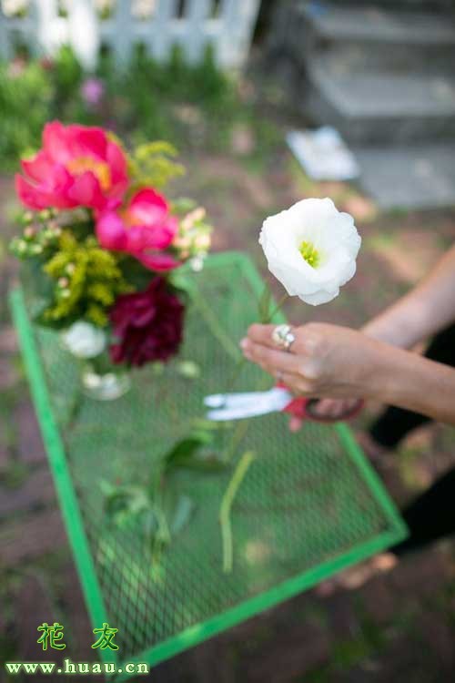 鲜花养护_鲜花养护保鲜法_鲜花养护小知识