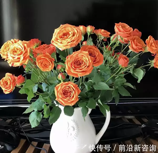 鲜花养护小知识_康乃馨鲜花养护_鲜花养护