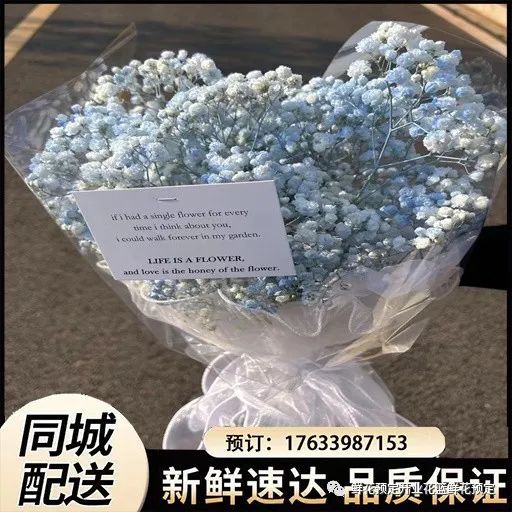 鲜花app软件下载_鲜花app_下载寻梦鲜花app