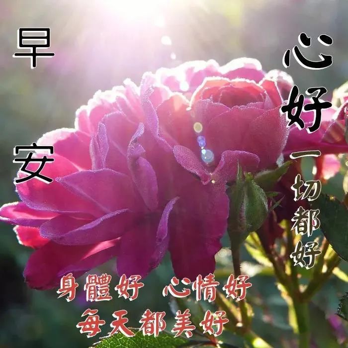 暖语祝福心字怎么写_暖心祝福语大全简短10个字_祝福语8个字暖心