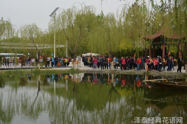 最美最美的花图片_最美花朵图片大全_中国最美的花朵图片